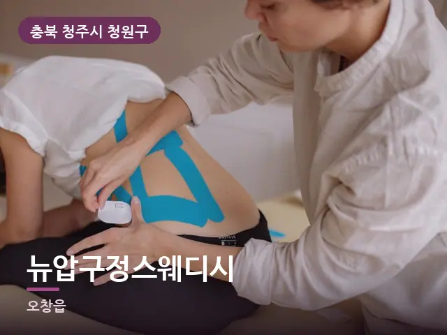 충북 청주시 청원구 뉴압구정스웨디시 — 등·척추 관리