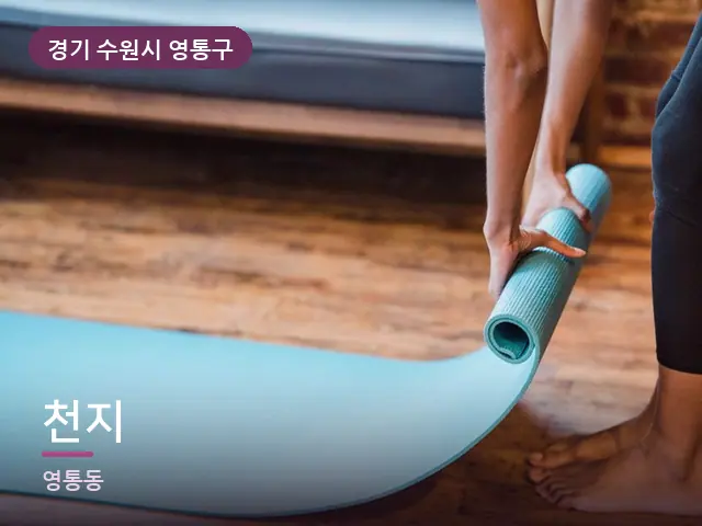 경기 수원시 영통구 천지 — 집 안의 매트
