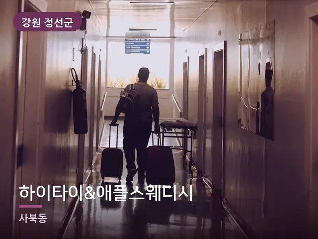 강원 정선군 하이타이&애플스웨디시 — 객실의 여행 가방