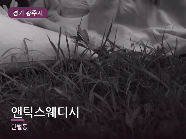경기 광주시 앤틱스웨디시 — 흰 베개