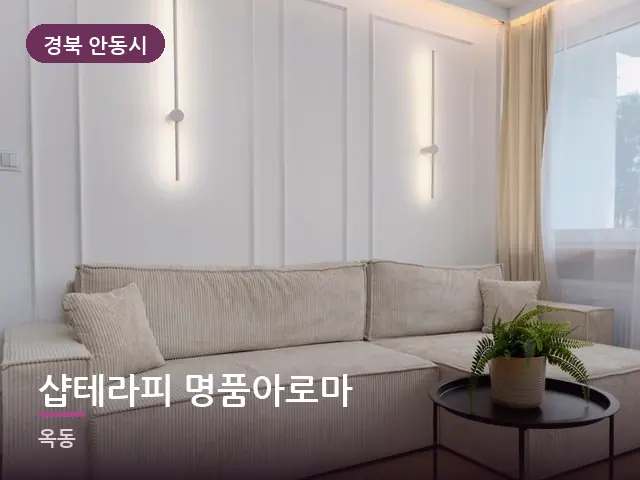경북 안동시 샵테라피 명품아로마 — 아파트 실내