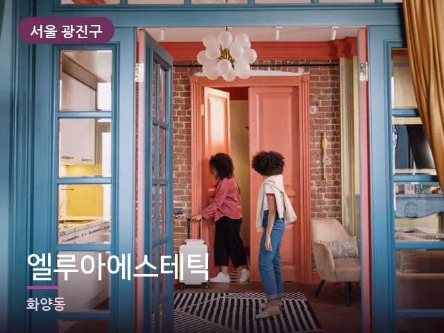 서울 광진구 엘루아에스테틱 — 객실의 여행 가방