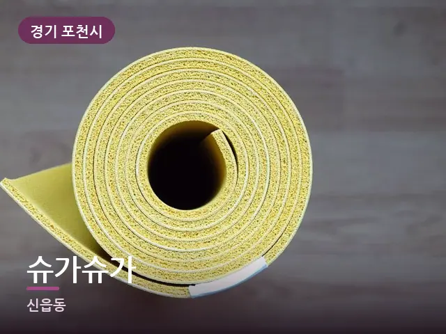 경기 포천시 슈가슈가 — 집 안의 매트