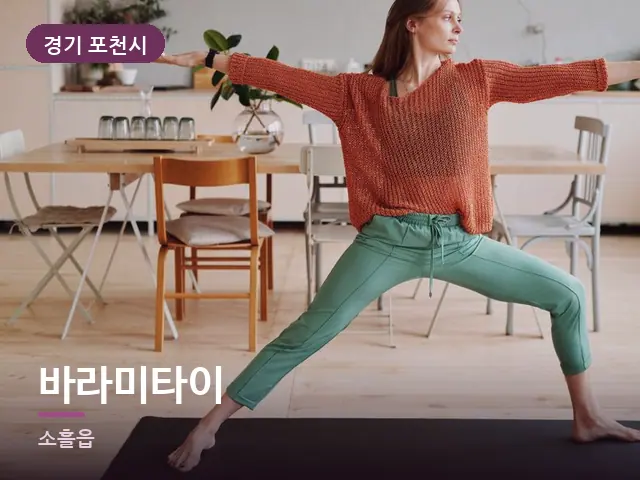 경기 포천시 바라미타이 — 집 안의 매트