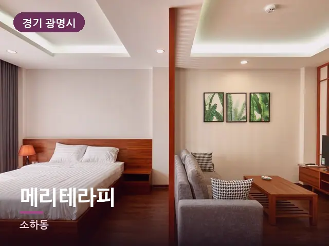 경기 광명시 메리테라피 — 호텔 스위트 내부