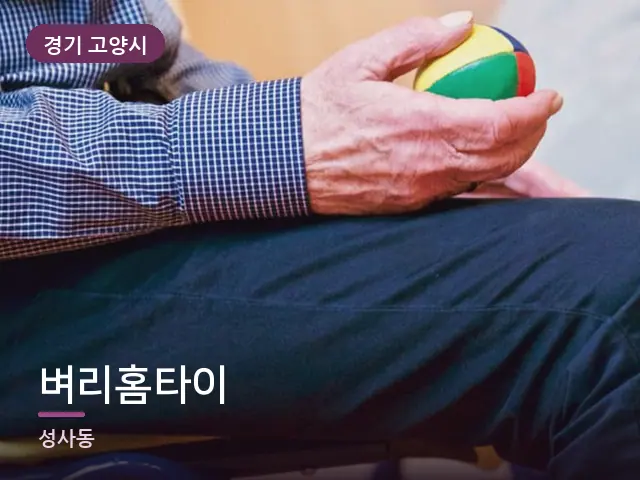 경기 고양시 벼리홈타이 — 어르신 관리