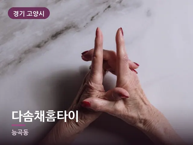 경기 고양시 다솜채홈타이 — 어르신 관리