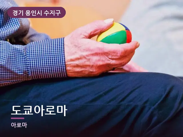 경기 용인시 수지구 도쿄아로마 — 어르신 관리