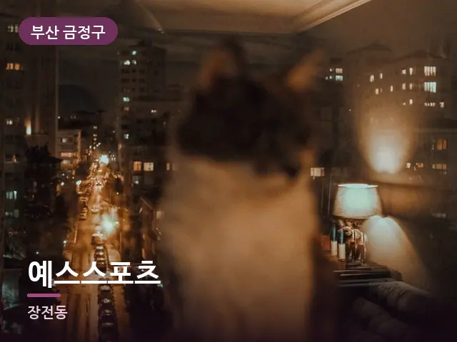 부산 금정구 예스스포츠 — 창밖 야경