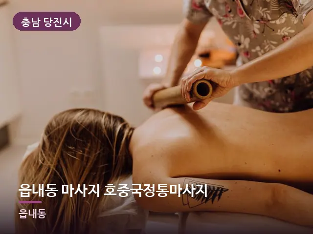 충남 당진시 읍내동 마사지 호중국정통마사지 — 등 관리 장면