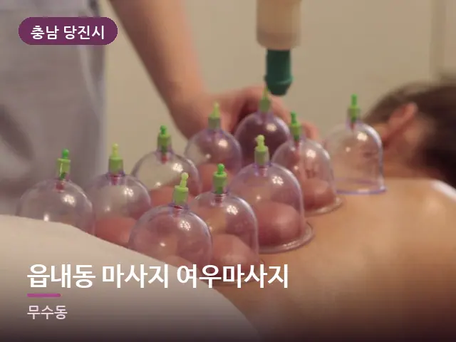 충남 당진시 읍내동 마사지 여우마사지 — 등 관리 장면