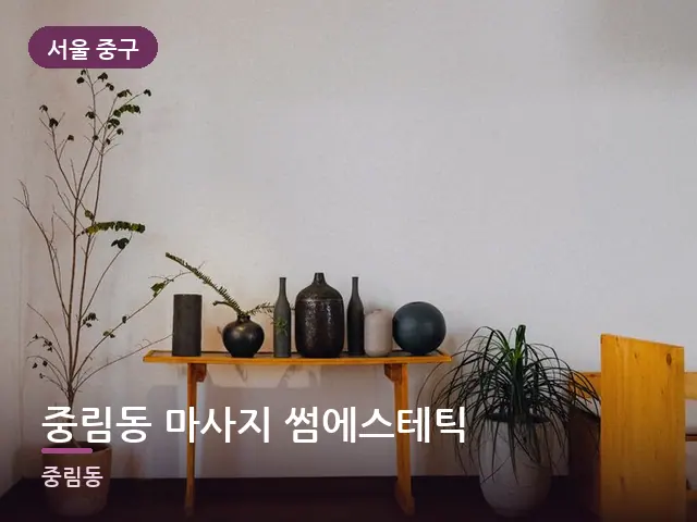 서울 중구 중림동 마사지 썸에스테틱 — 아파트 실내