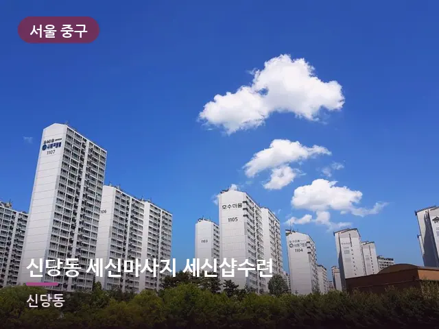 서울 중구 신당동 세신마사지 세신샵수련 — 아파트 실내