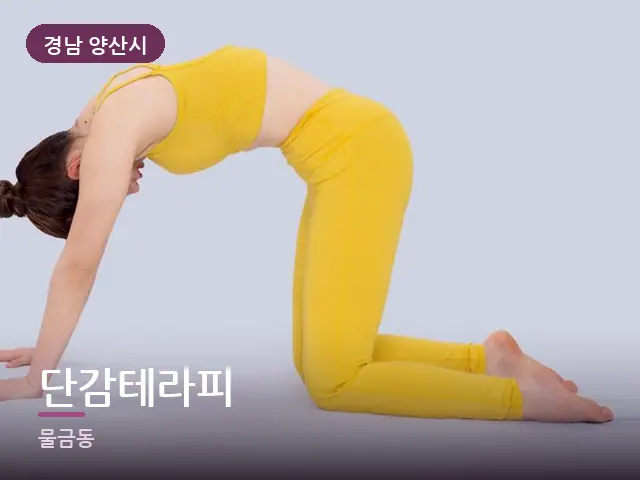 경남 양산시 단감테라피 — 등·척추 관리