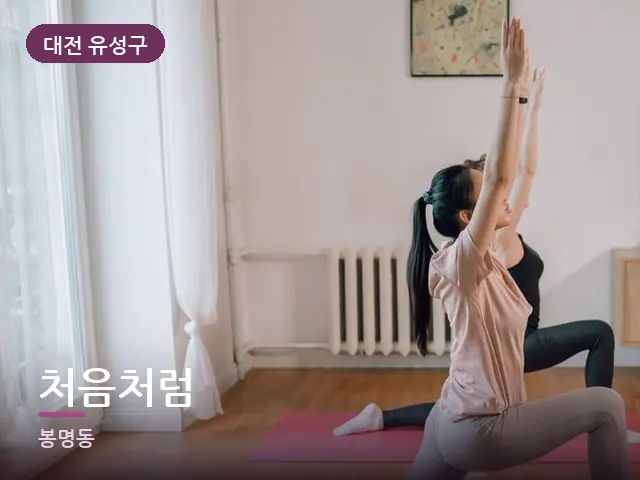 대전 유성구 처음처럼 — 집 안의 매트