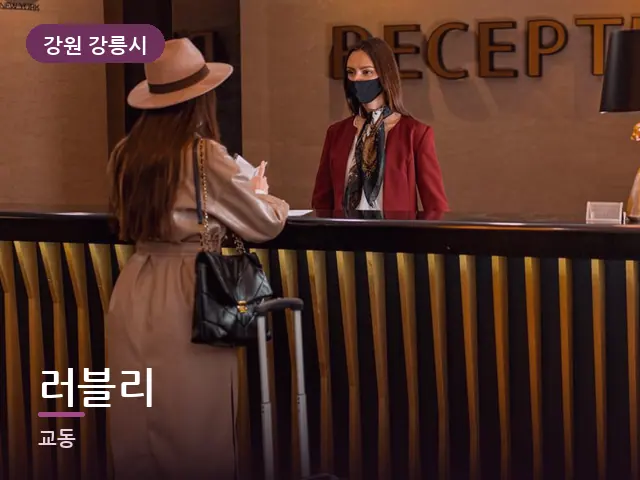 강원 강릉시 러블리 — 출장 중 객실 책상