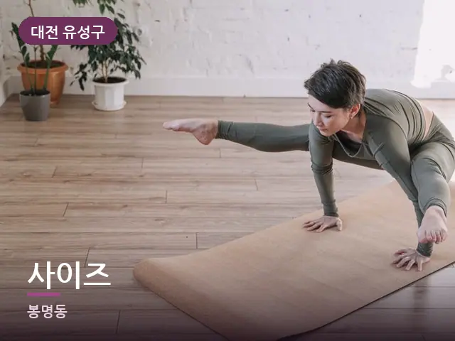 대전 유성구 사이즈 — 집 안의 매트