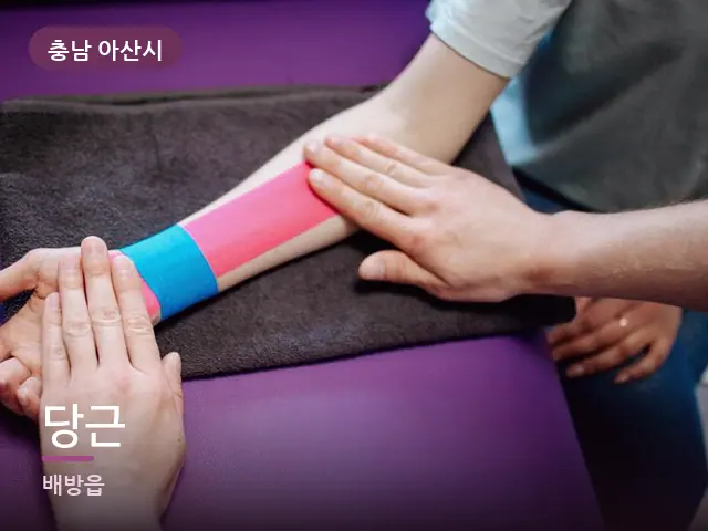 충남 아산시 당근 — 손목 이완