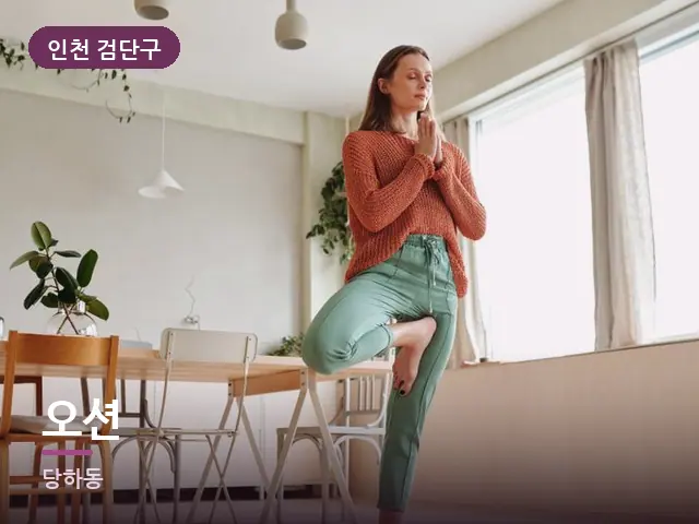 인천 검단구 오션 — 집 안의 매트