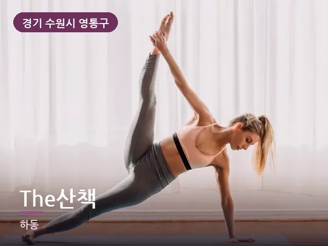 경기 수원시 영통구 The산책 — 집 안의 매트