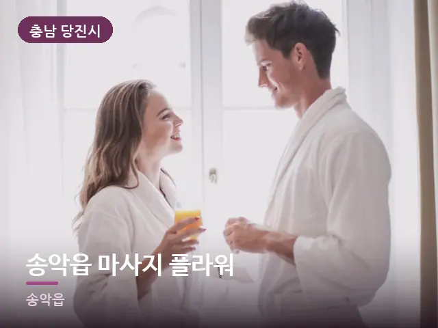 충남 당진시 송악읍 마사지 플라워 — 호텔 가운