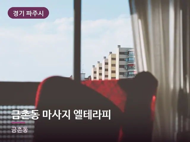 경기 파주시 금촌동 마사지 엘테라피 — 아침 빛이 드는 방