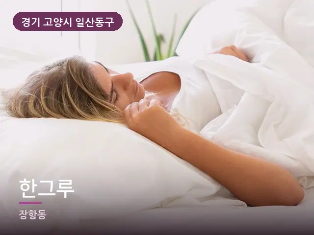 경기 고양시 일산동구 한그루 — 흰 베개