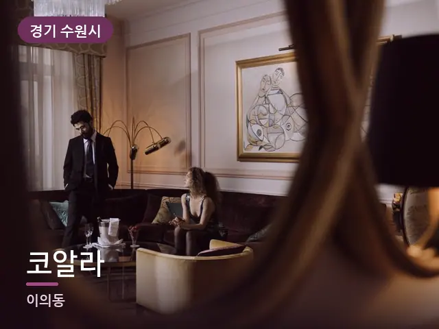 경기 수원시 코알라 — 호텔 스위트 내부